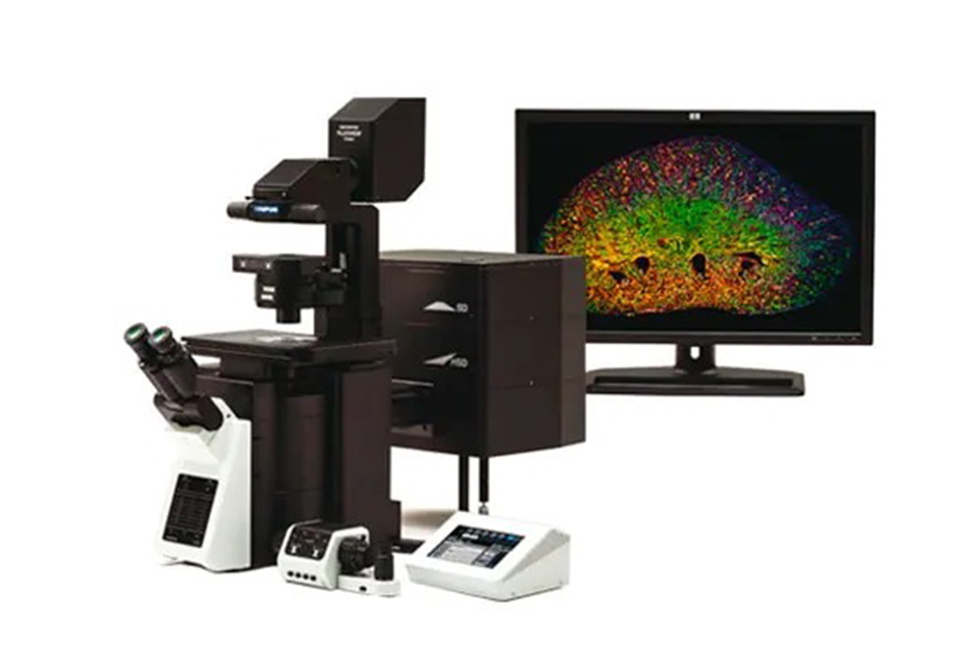 Microscope Imaging Core